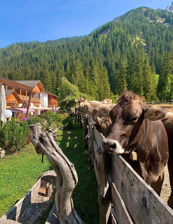 Alpin Natur Hotel Brueckele Braies  Esterno foto