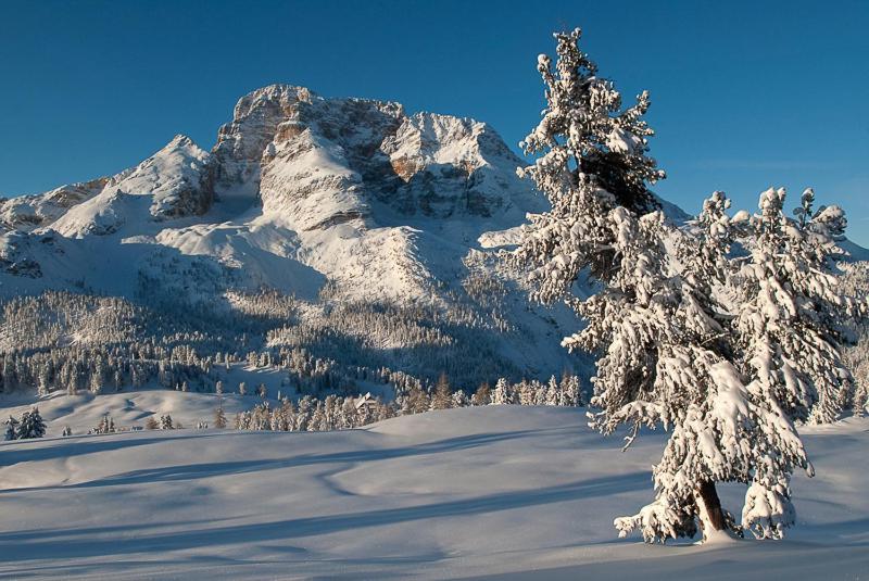 Alpin Natur Hotel Brueckele Braies  Esterno foto